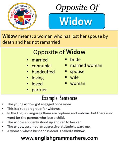 widow traduction|widow meaning in french.